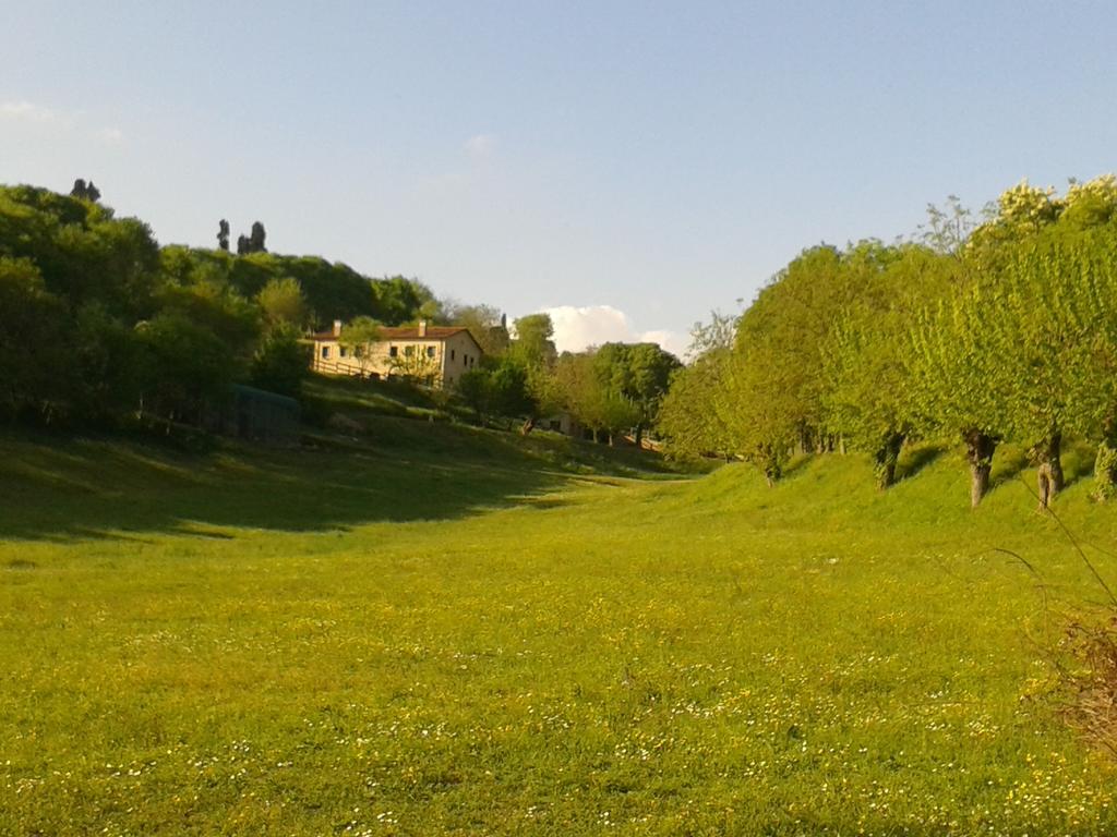 Casale La Rocchetta Bed & Breakfast Lonigo Dış mekan fotoğraf