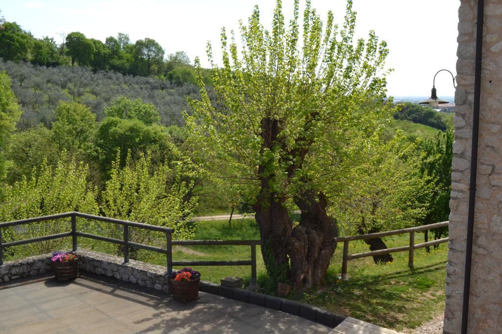 Casale La Rocchetta Bed & Breakfast Lonigo Dış mekan fotoğraf
