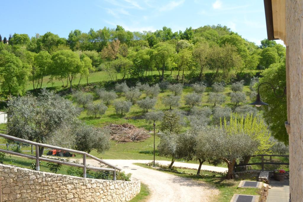 Casale La Rocchetta Bed & Breakfast Lonigo Dış mekan fotoğraf