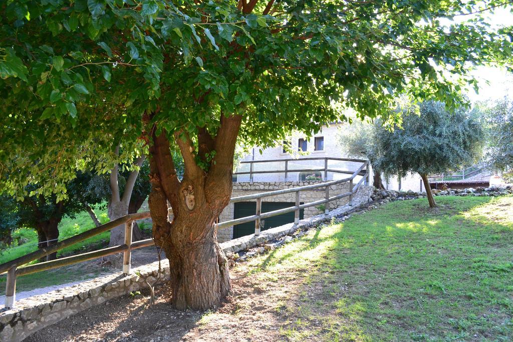 Casale La Rocchetta Bed & Breakfast Lonigo Dış mekan fotoğraf